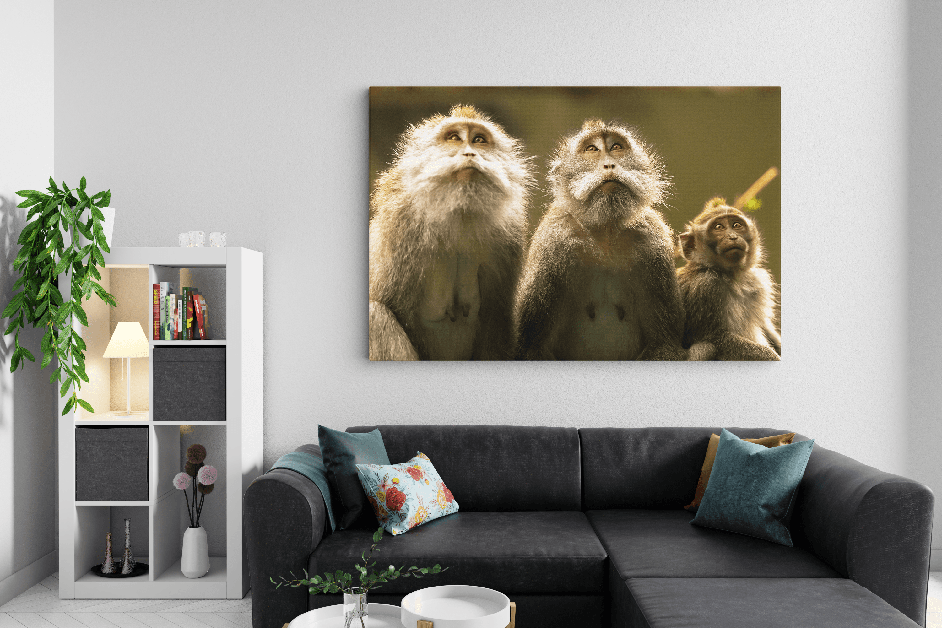 Brothers: Indonesia in room