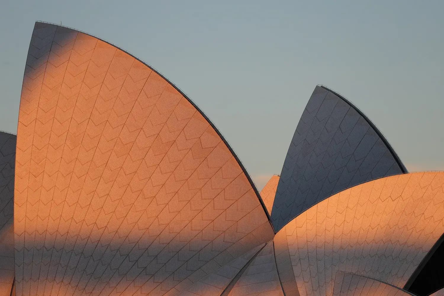 Orange Touch: Sydney